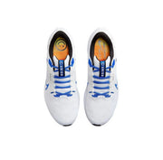 Nike Air Zoom Pegasus 40 White Blue Running Shoes FJ2843-100