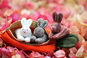 🎁 Hide-and-Seek Bunnies in Carrot Pouch
