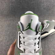 Jordan Air Jordan 3 Grey Green Sneakers 136064-006