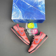 Nike SB Dunk Low Concepts Red Lobster 313170-661
