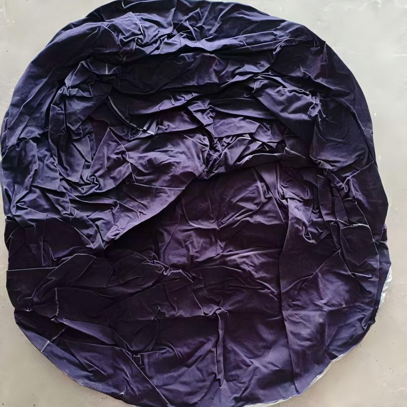 Multifunctional Inflatable Lazy Sofa | Foldable Dual-Use Outdoor Bed | Moisture-Resistant and Durable | Ideal for Office, Camping, Music Festivals | Light, Plastic Material