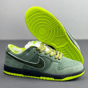 Nike SB Dunk Low Green Lobster Sneakers BV1310-337