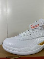 Jordan Air Jordan 12 Phantom White Metallic Gold Sneakers FD9101-007