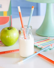 Colored Pencil Reusable Straws