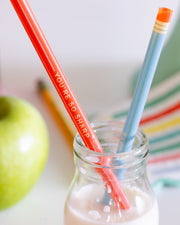 Colored Pencil Reusable Straws