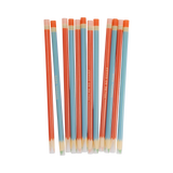 Colored Pencil Reusable Straws