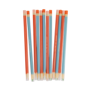 Colored Pencil Reusable Straws
