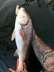 Inshore Speed Clip Bundle (25 Clips in Each Size)