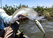 Inshore Speed Clip Bundle (25 Clips in Each Size)