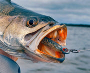 Inshore Speed Clip Bundle (25 Clips in Each Size)