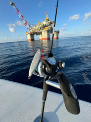 Offshore Speed Clip Bundle (25 Clips in Each Size)