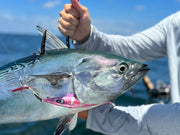 Offshore Speed Clip Bundle (25 Clips in Each Size)