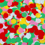 Confetti-filled Reusable Placemats (4 ct)