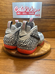Nike Air Foamposite Pro Elephant Print