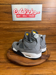 Jordan 4 Retro Cool Grey (2019)