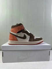 Jordan Air Jordan 1 High OG Cacao Wow Sand Drift FQ2941-200