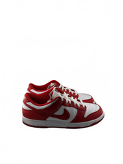 Nike Dunk Low SP St. John's (2020/2023)